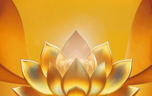 بیمه پاسارگاد رکورد شکنی کرد