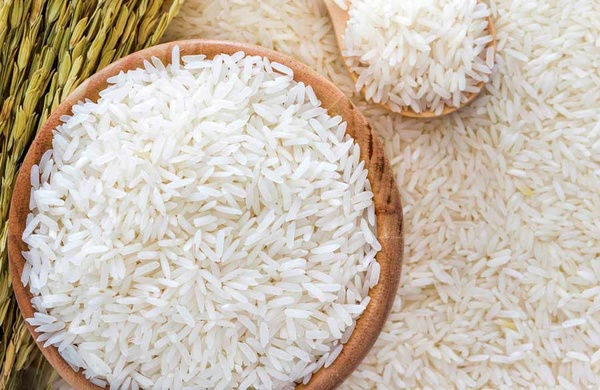طارم ۹۰ هزار تومانی خریدار ندارد/ شمالی‌ها به ناچار برنج خارجی مصرف می‌کنند