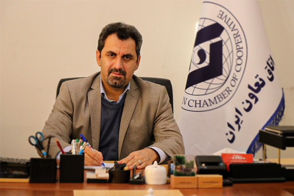 تشکل‌های تعاونی مهمترین بازوی دولت منتخب در اجرای قوانین خواهند بود