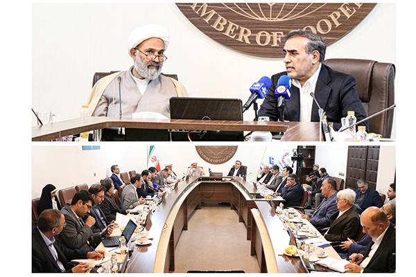 نظارت بر اجرای قوانین مرتبط با بخش تعاون/ لزوم تقویت بخش تعاون جهت واگذاری تصدی‌گری‌ها